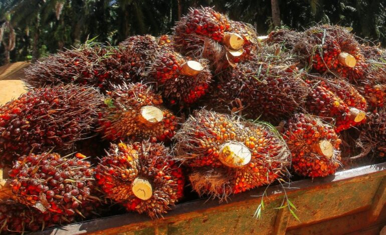 KPPK kekal komited melaksanakan dasar Biofuel Nasional (NBP)Malaysia