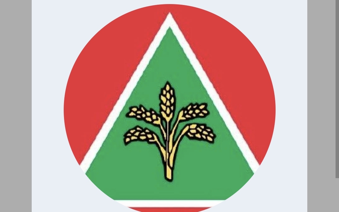 Tidak sepatutnya bertegas untuk melaksanakan rancangan subsidi bersasar petrol RON95 pada separuh kedua tahun ini